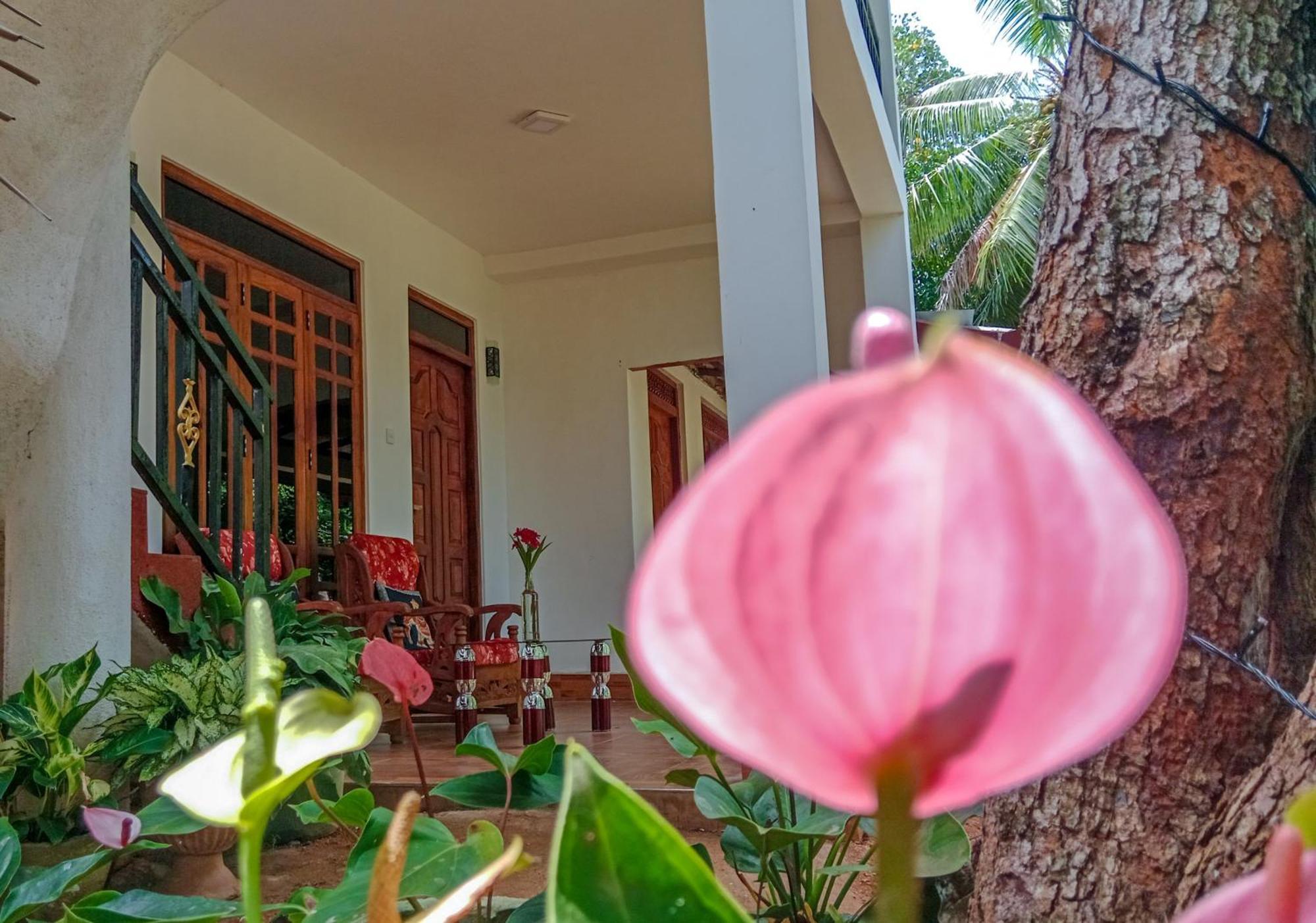 Gimhana Homestay Сигирия Экстерьер фото