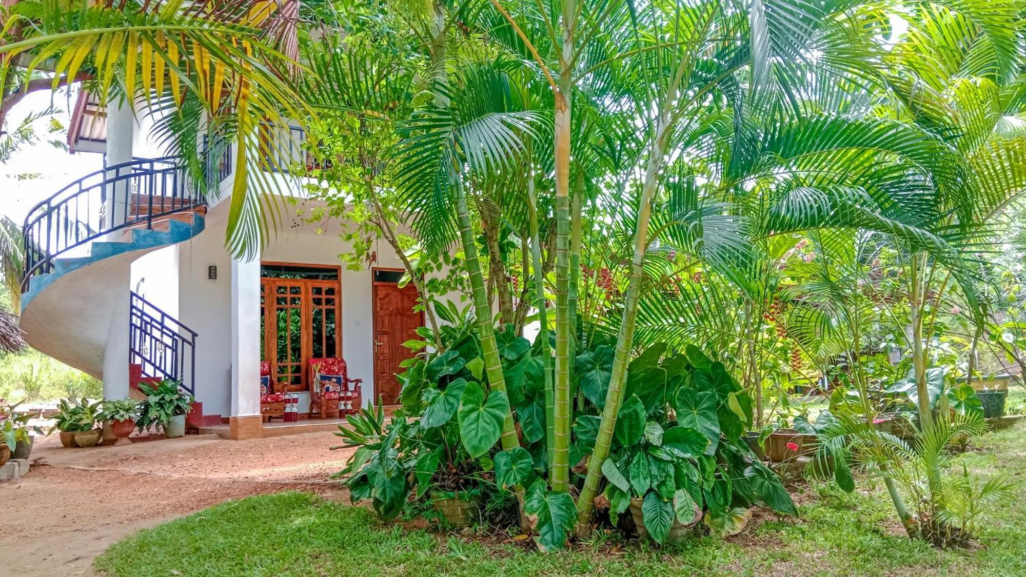 Gimhana Homestay Сигирия Экстерьер фото