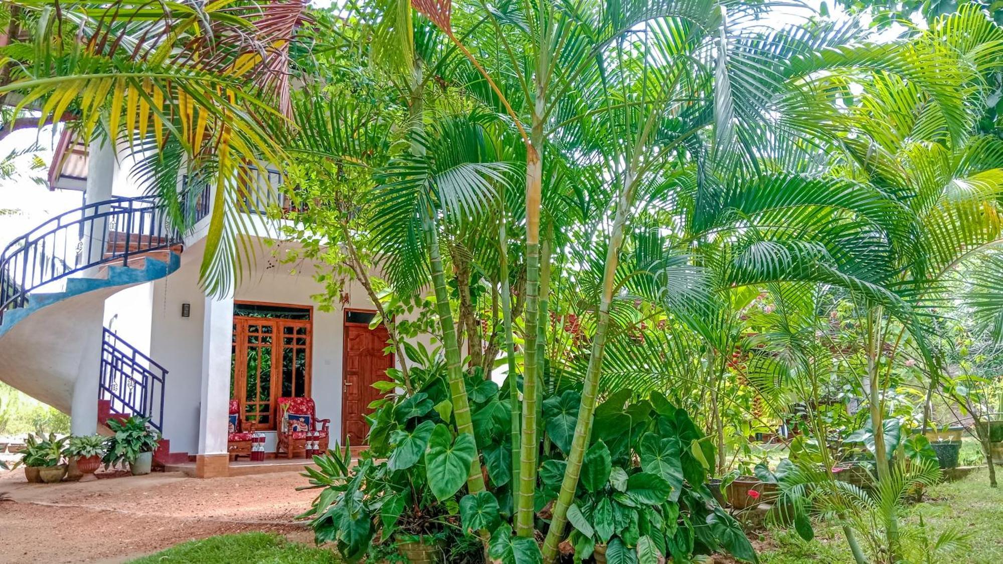 Gimhana Homestay Сигирия Экстерьер фото